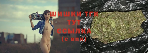 Альфа ПВП Богородск