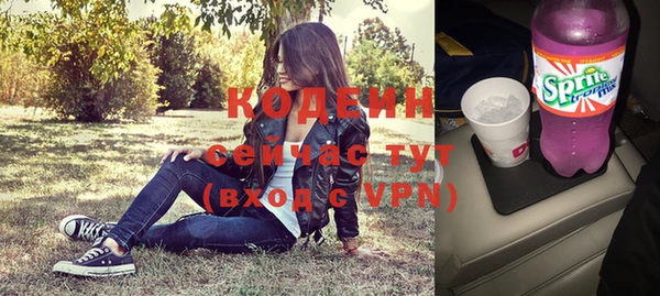 гидра Богданович