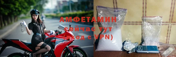 гидра Богданович