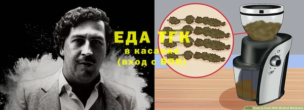 гидра Богданович