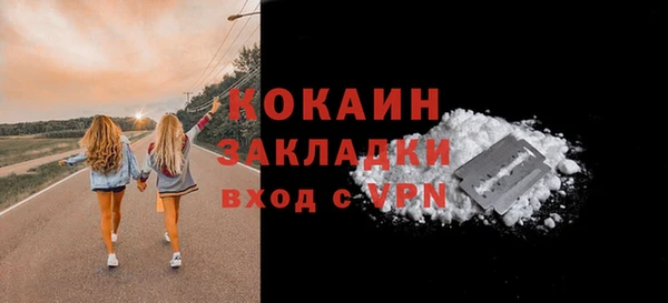 Альфа ПВП Богородск