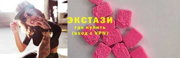 гидра Богданович