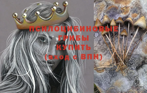 гидра Богданович