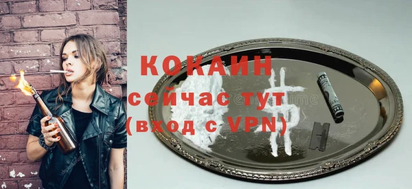 гидра Богданович