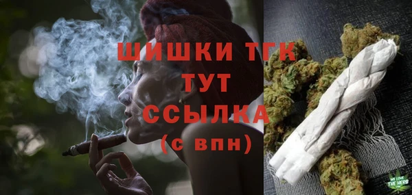 гидра Богданович