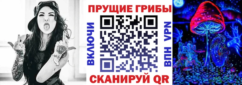 купить наркотик  Когалым  Псилоцибиновые грибы Psilocybine cubensis 